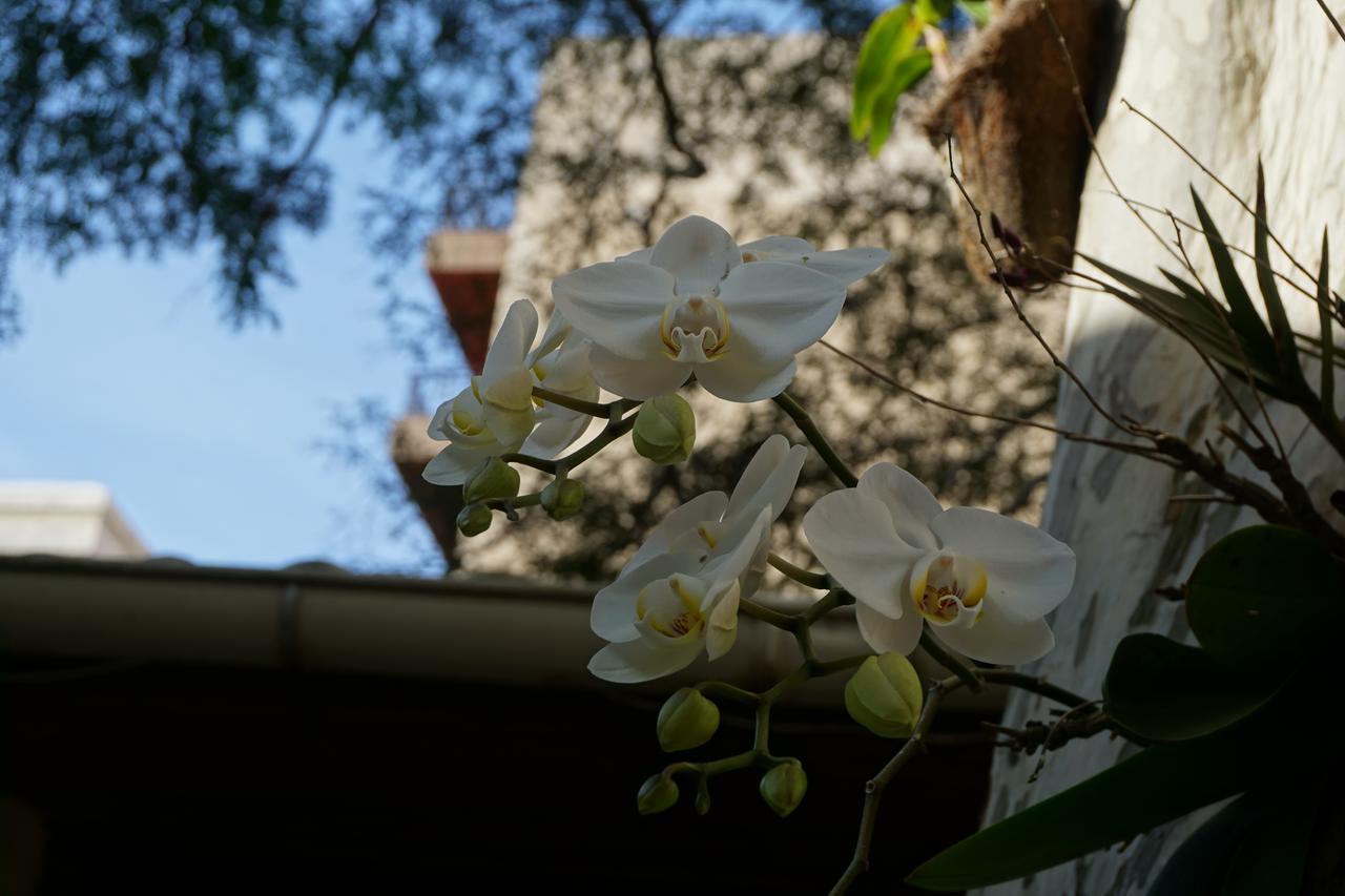 Bed and Breakfast Pouso Da Garca Cabo Frio Exterior foto