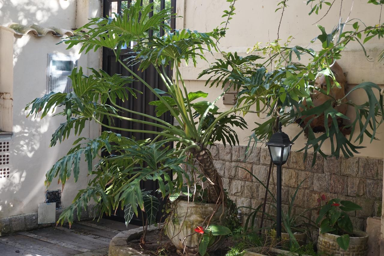 Bed and Breakfast Pouso Da Garca Cabo Frio Exterior foto